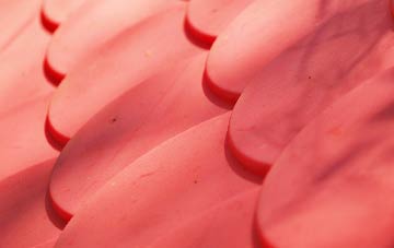 Little Swinburne plastic roof costs